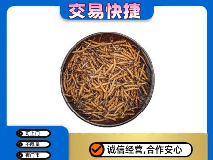 桂林恭城县回收散虫草